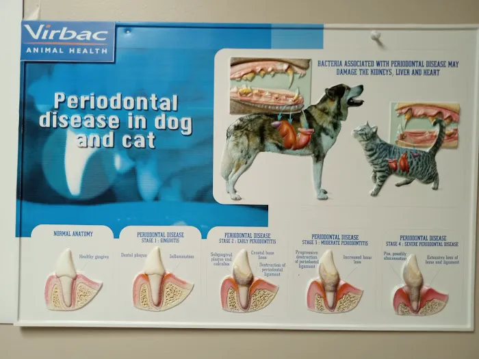 Burien Veterinary Hospital: Whitty Erin DVM 12