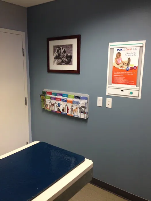 VCA Five Corners Animal Hospital 12