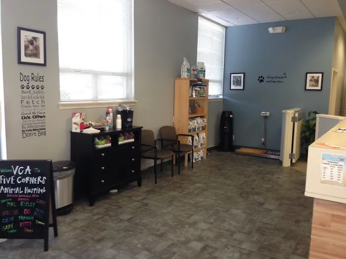 VCA Five Corners Animal Hospital 12