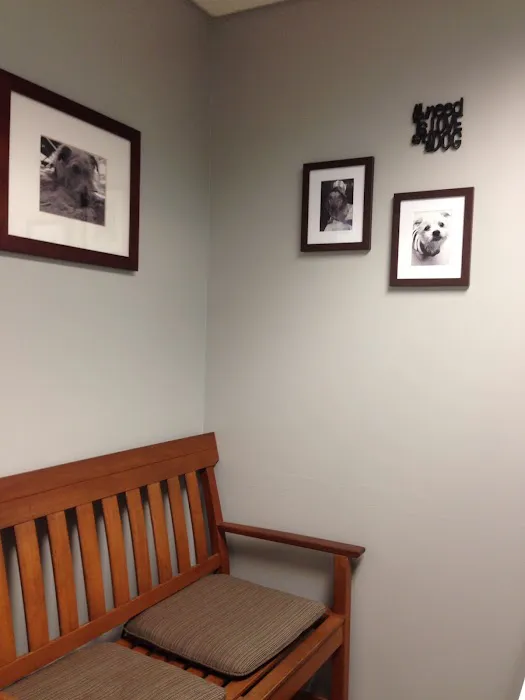 VCA Five Corners Animal Hospital 12
