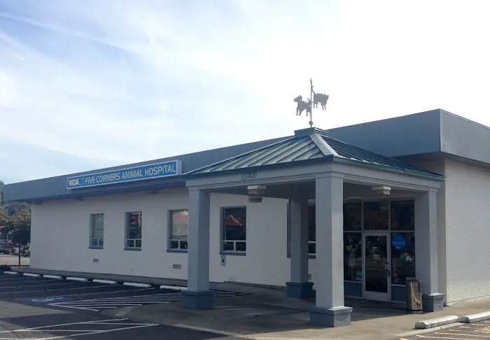 VCA Five Corners Animal Hospital 12
