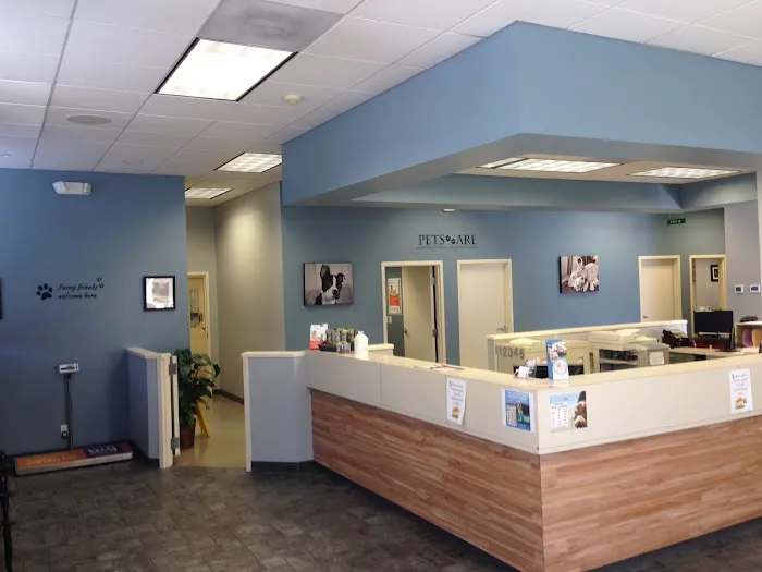 VCA Five Corners Animal Hospital 12