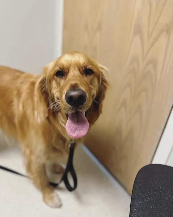 Normandy Animal Hospital 12
