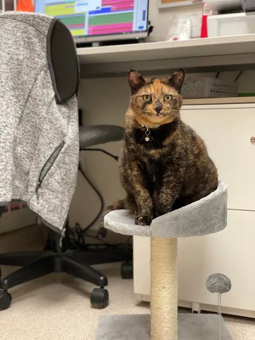 Normandy Animal Hospital 12