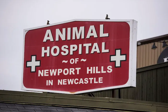 Animal Hospital of Newport Hills 12