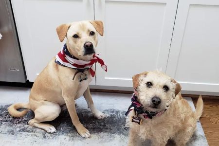 Banfield Pet Hospital