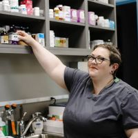 Galaxy Cats Vet Center ico