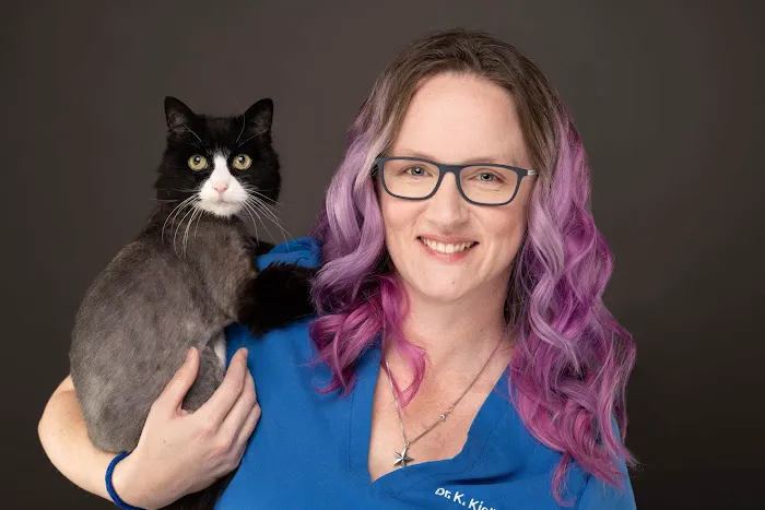 Galaxy Cats Vet Center 12