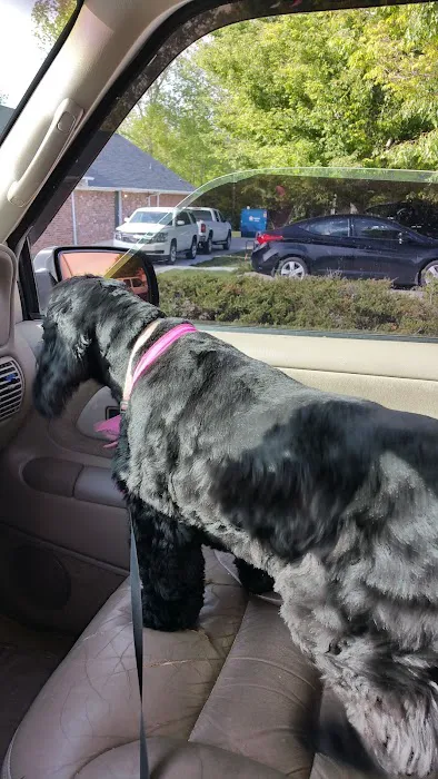 Faulkner Animal Hospital: Knox Daniel B DVM 12
