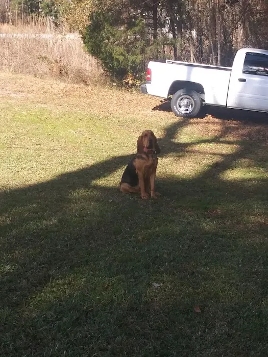 Faulkner Animal Hospital: Knox Daniel B DVM 12