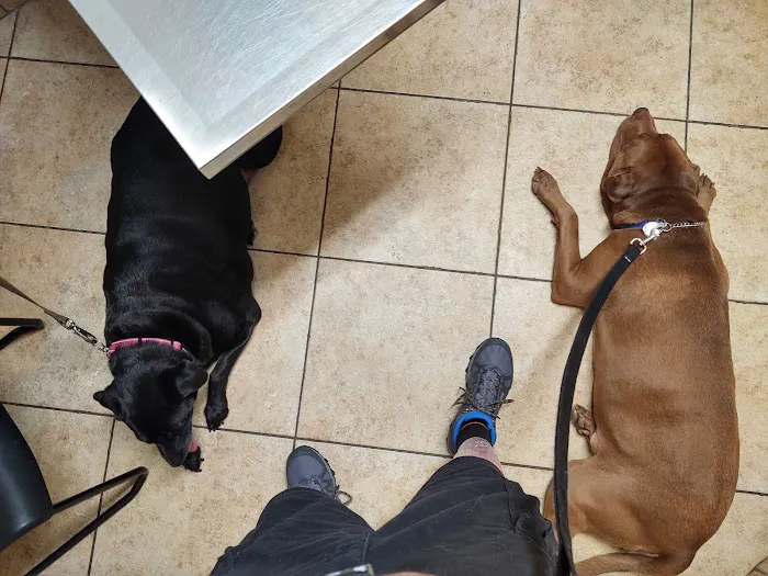 Faulkner Animal Hospital: Glenn Brent DVM 2