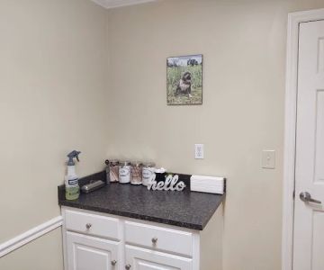 Faulkner Animal Hospital: Glenn Brent DVM