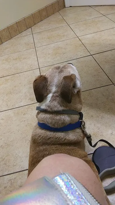 Faulkner Animal Hospital: Glenn Brent DVM 3