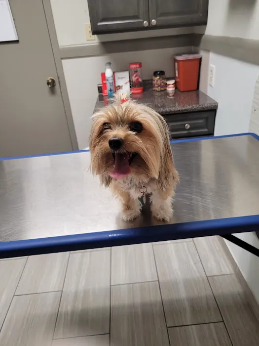 Mission Bend Animal Clinic 12