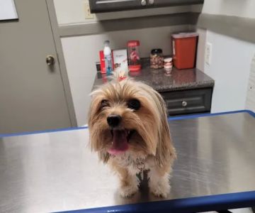 Mission Bend Animal Clinic