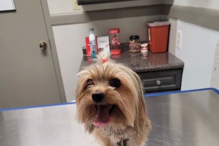 Mission Bend Animal Clinic