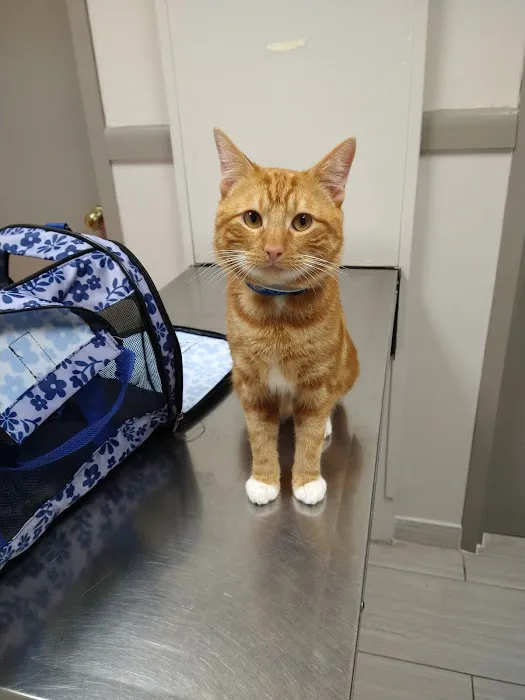Mission Bend Animal Clinic 12
