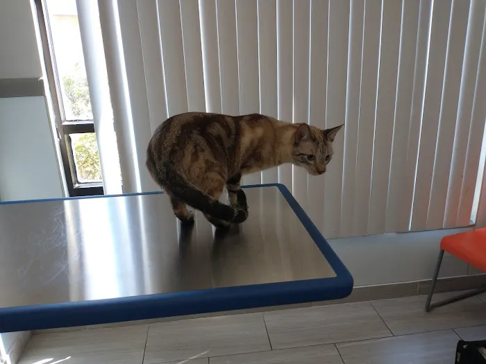 Mission Bend Animal Clinic 12