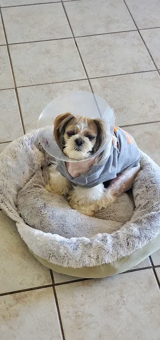 Mission Bend Animal Clinic 12