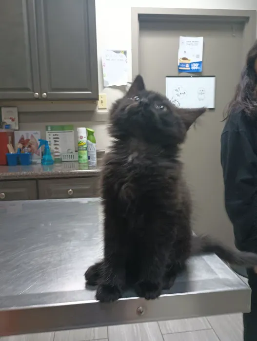 Mission Bend Animal Clinic 12
