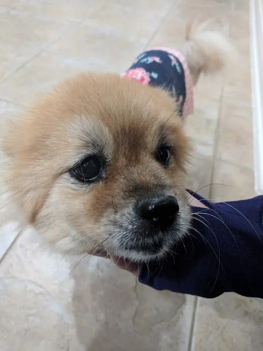 Kindred Care Pet Hospital 5