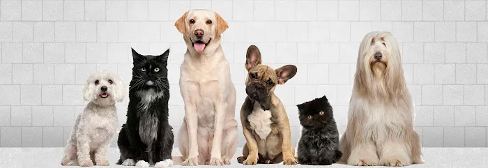 Kindred Care Pet Hospital 10