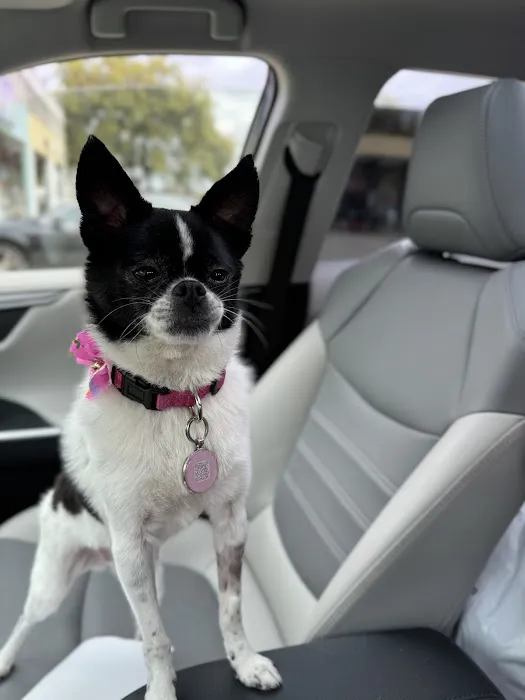 Kindred Care Pet Hospital 2
