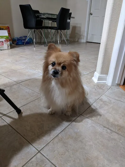 Kindred Care Pet Hospital 4