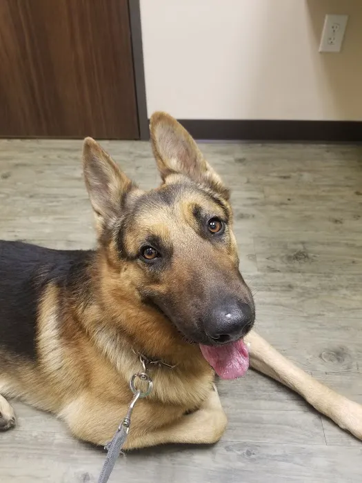 Kindred Care Pet Hospital 7