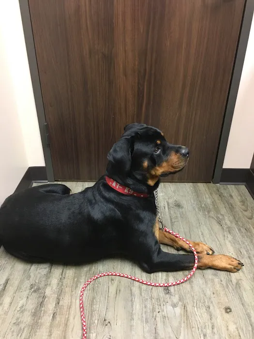 Kindred Care Pet Hospital 3