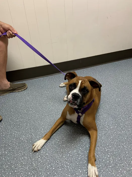 Mason Road Veterinary Clinic 12