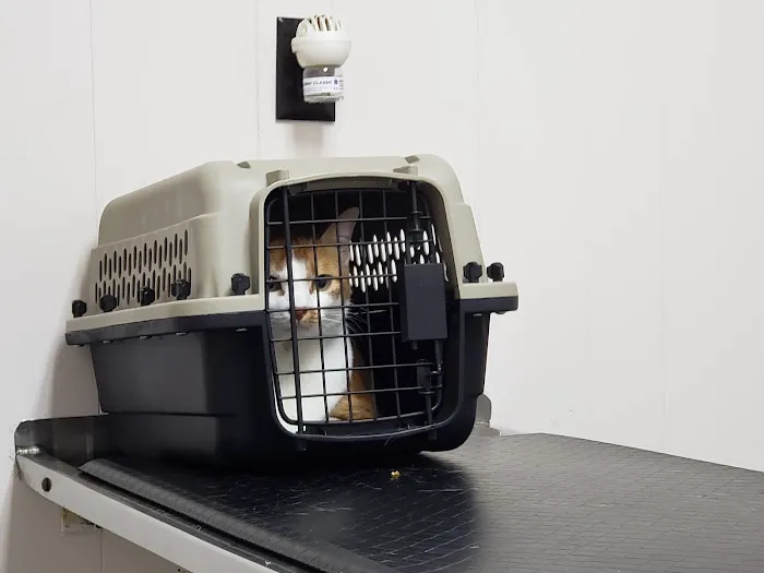 Mason Road Veterinary Clinic 12