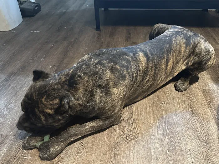 Mason Road Veterinary Clinic 12
