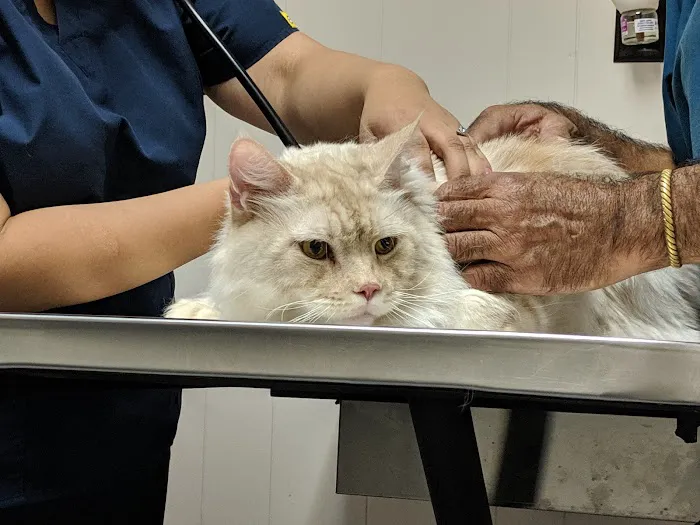 Mason Road Veterinary Clinic 12