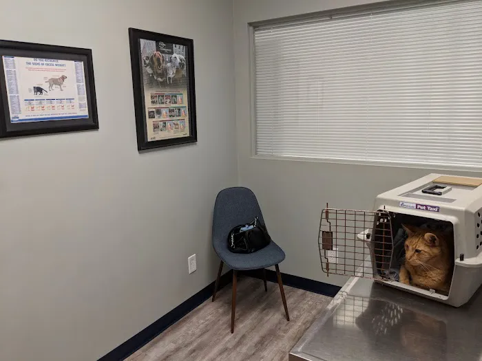 Williamsburg Animal Clinic 12