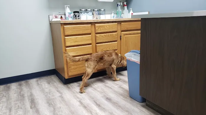 Williamsburg Animal Clinic 12