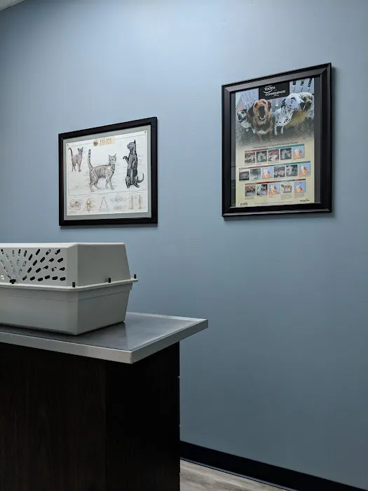 Williamsburg Animal Clinic 12