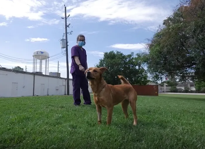 Kingsland Blvd Animal Clinic 12
