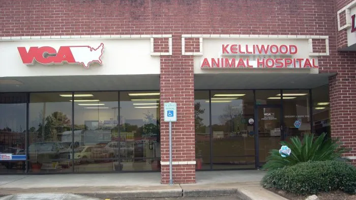 VCA Kelliwood Animal Hospital 12
