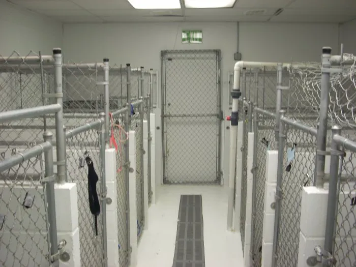 VCA Kelliwood Animal Hospital 12