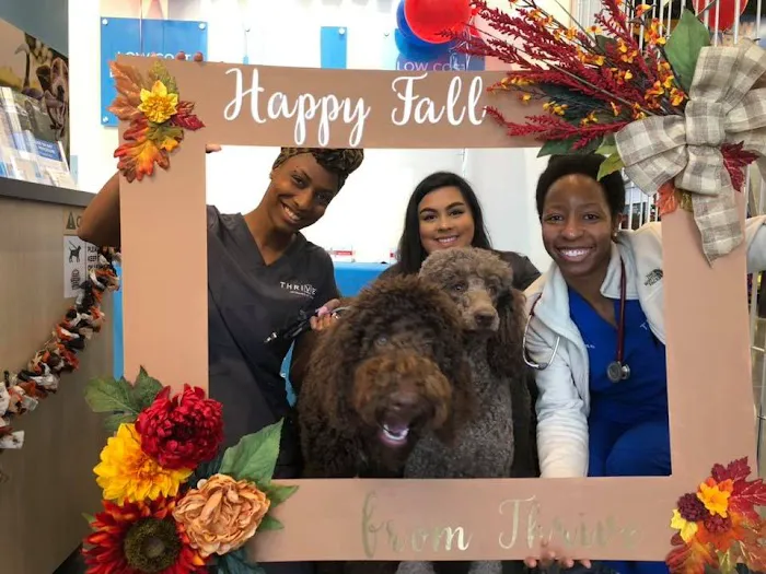 Vetco Total Care Animal Hospital 12