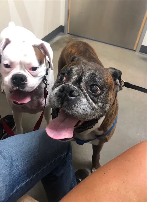 Vetco Total Care Animal Hospital 12