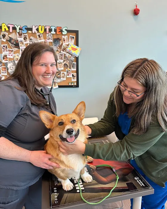 EasyVet Veterinarian Katy 12