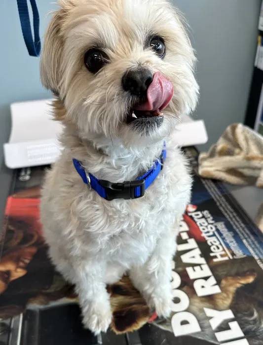 EasyVet Veterinarian Katy 12