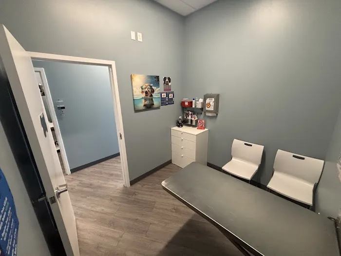 EasyVet Veterinarian Katy 12