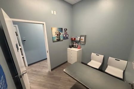 EasyVet Veterinarian Katy