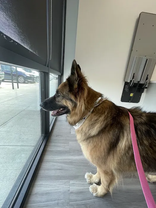 Elyson Animal Hospital 12