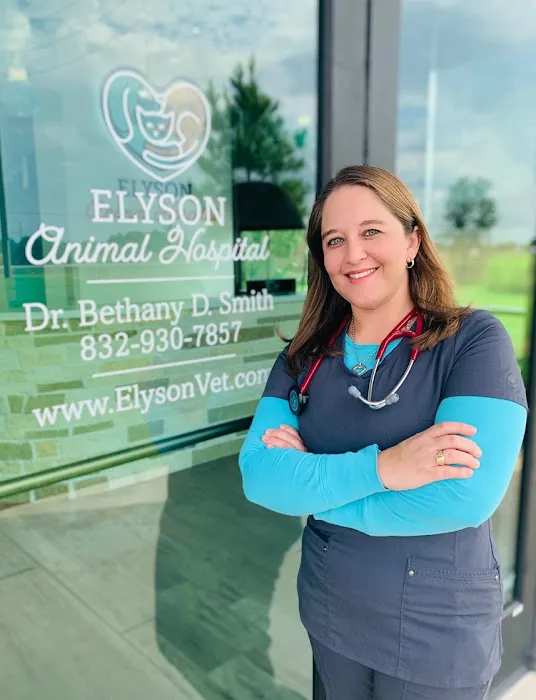 Elyson Animal Hospital 12