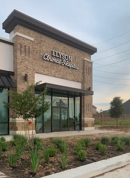 Elyson Animal Hospital 12