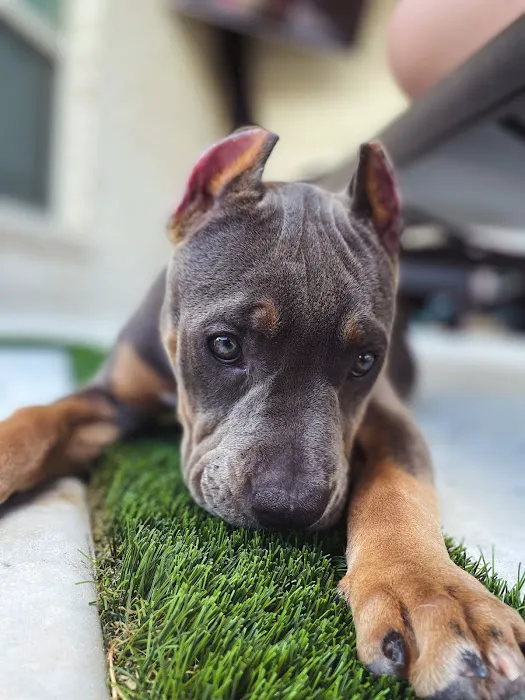 Grand Park Animal Clinic 12